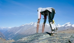 Lên núi sống như loài dê vì chán làm người